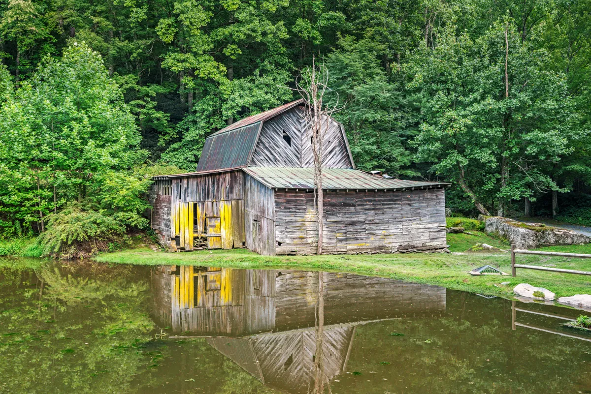 A serene scene featuring a weathered barn and a reflective pond surrounded by lush trees. The calm water mirrors the greenery and sky, evoking a sense of peace and connection to nature. This spot is ideal for wildlife observation, photography, and quiet moments by the water.